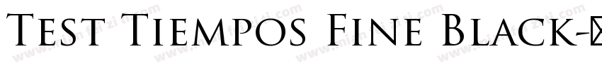 Test Tiempos Fine Black字体转换